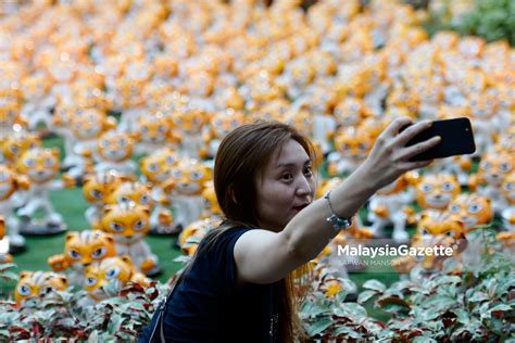 Kami cuba untuk melayari laman web yang tertera menerusi facebook terbabit iaitu rimau.org.my. Pameran 1000 Patung Maskot Sukan SEA 2017