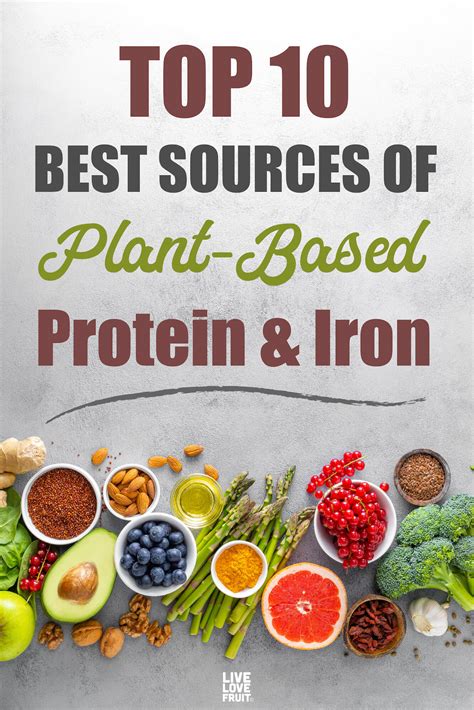 Top 10 Best Sources Of Plant Based Protein And Iron Live Love Fruit