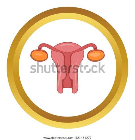 Female Sexual Organ Vector Icon Golden Stock Vector Royalty Free