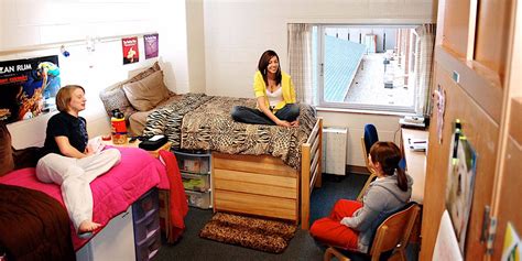8 Items Every College Student Needs For Their Dorm Room Business Insider