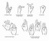 Intrinsic Hand Muscle Exercises Photos