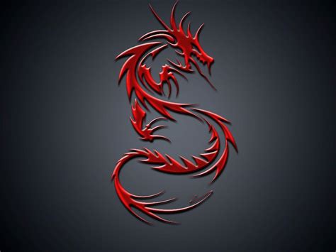 Dragon Logo Wallpapers Bigbeamng