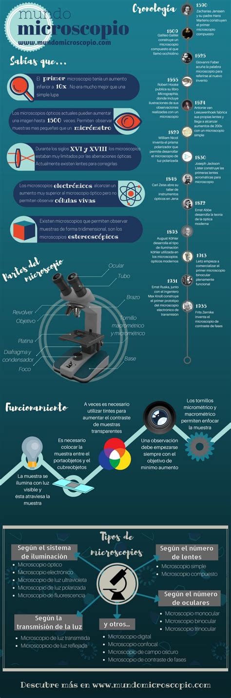 Infografía Del Microscopio Mundo Microscopio