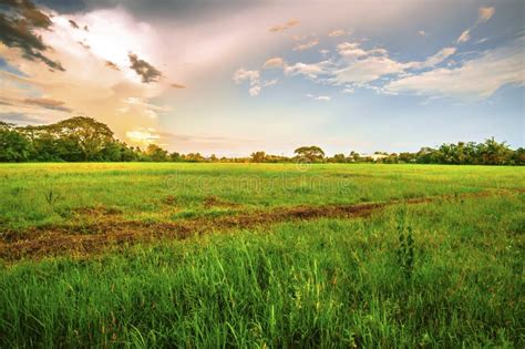 Landscape Of Open Field In Evening Time Stock Image Image Of Sunrise