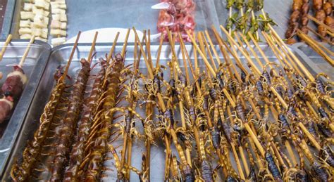 7 Seriously Strange Street Foods In China Goats On The Road