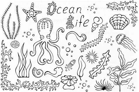 Life Drawing Painting And Drawing Under The Sea Drawings Banner Doodle