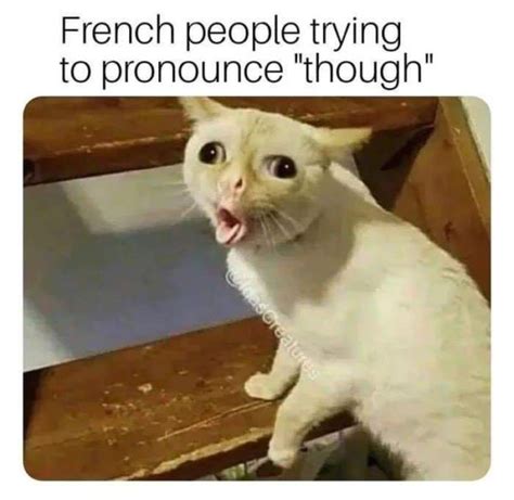Funniest French Meme Collection New 2023