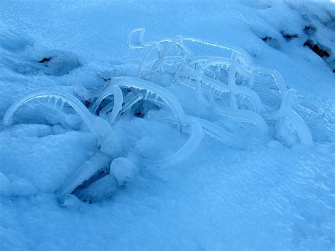 Ледяные черви Masterok — Livejournal