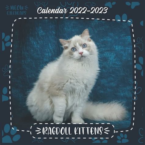 Buy Ragdoll Kittens 2022 Official Planner Ragdoll Kittens 2022 2023