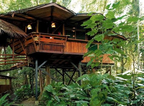 Amazing Tree House Hotels Eccentric Hotels Tree House Cool Tree