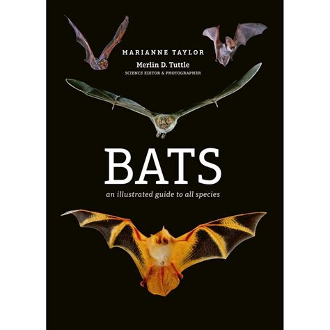 Bats An Illustrated Guide To All Species Veldshopnl
