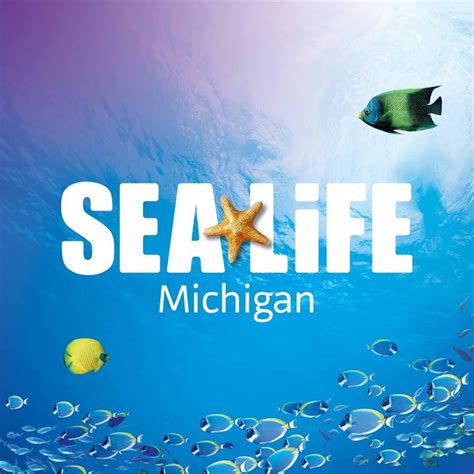 Sea Life Michigan Aquarium Mi Water Stewardship