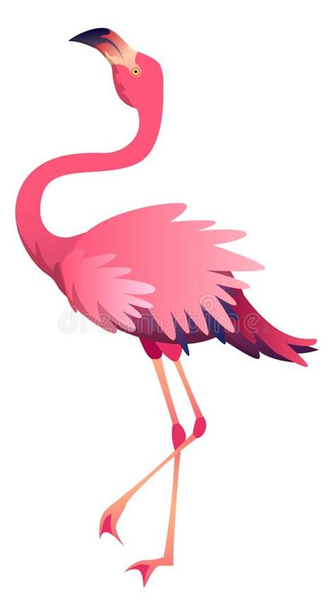 Bird Pink Flamingo Cartoon Illustration Stock Vector Illustration Of