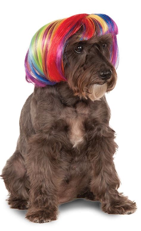 Rubies Rainbow Bob Wig For Pet Cat Costume Accessories Bob Wigs Dog