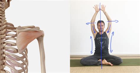 8 Yoga Übungen Für Schultern Und Nacken Gegen Verspannung