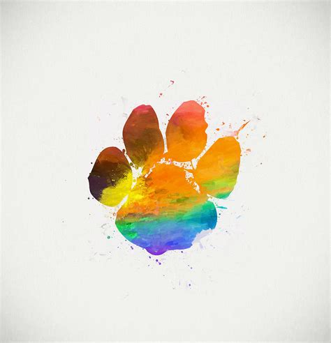 Paw Print Color Painting By Dan Sproul
