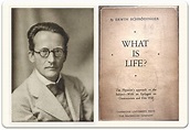 Von Erwin Schrödingers "Was ist Leben" zu "Alles Leben ist Chemie ...