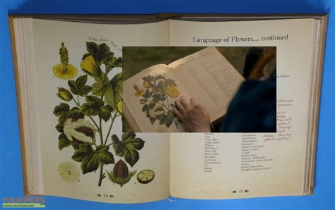 But for victoria jones, it's been more useful in communicating mistrust and solitude. Anne with an E (2017-2019) Language of Flowers Book ...