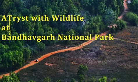 Bandhavgarh National Park About Bandhavgarh Waytoindia Com