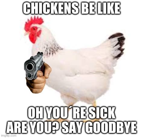 Chickens Be Like Imgflip