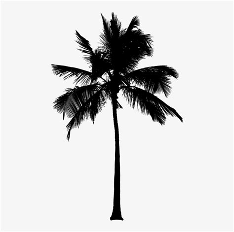 Black And White Palm Trees Svg