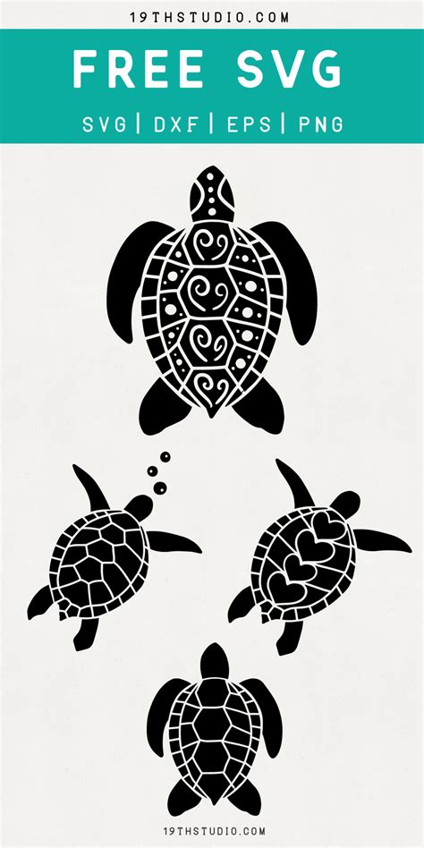 Cute Turtle Svg Cutting Files Drone Fest