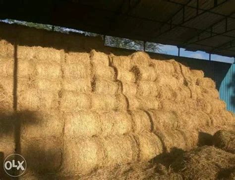 Paddy Straw Packaging Type Baler Round Type Pack Size 32 At Rs