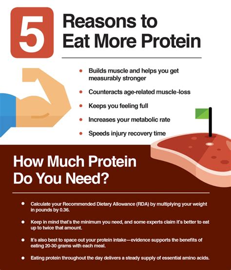 why is eating high amounts of protein important for bodybuilders protein bars