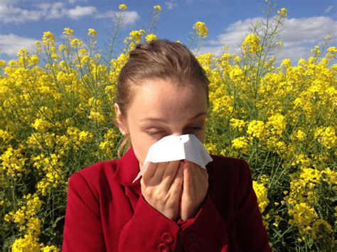 Allergie Au Pollen Symptômes Causes Traitements
