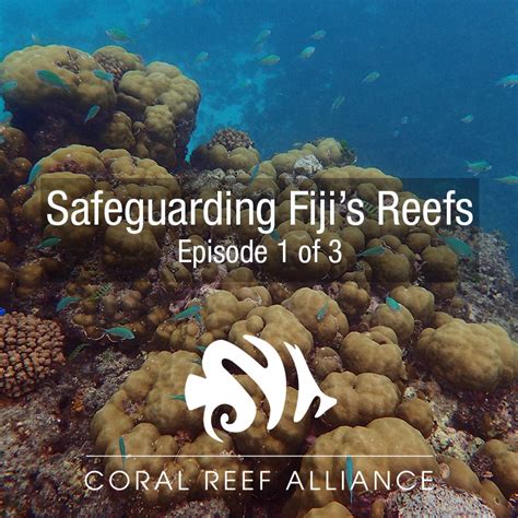 Coral Reef Conservation Coral Reef Alliance