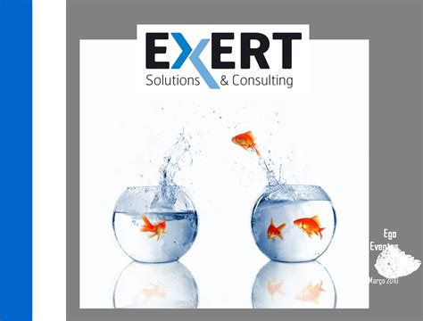 Exert Solutions And Consulting