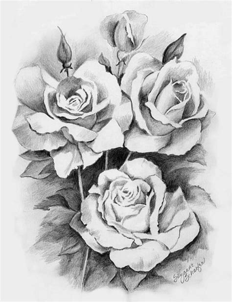 Rose Drawing 14 8614 The Wondrous Pics
