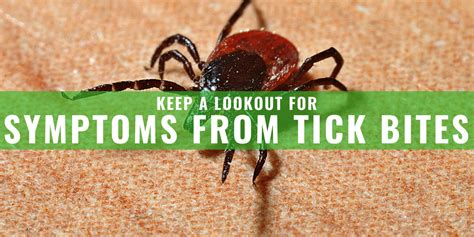Keep A Lookout For Symptoms From Tick Bite This Summer