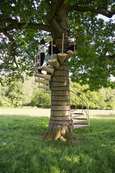 Designed by robert mcintyre and thor te kulve, the birch staircase steps are strapped to the tree and grip on through the use of neoprene padding. A Spiral Staircase For a Tree!! - Pee-wee's blog