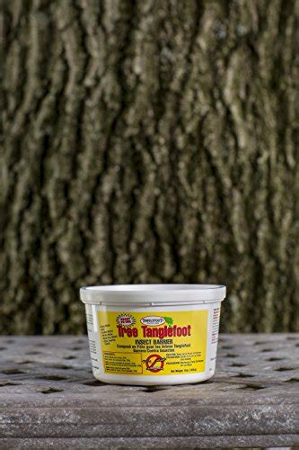 Tanglefoot Insect Barrier Tub 15 Oz Pricepulse