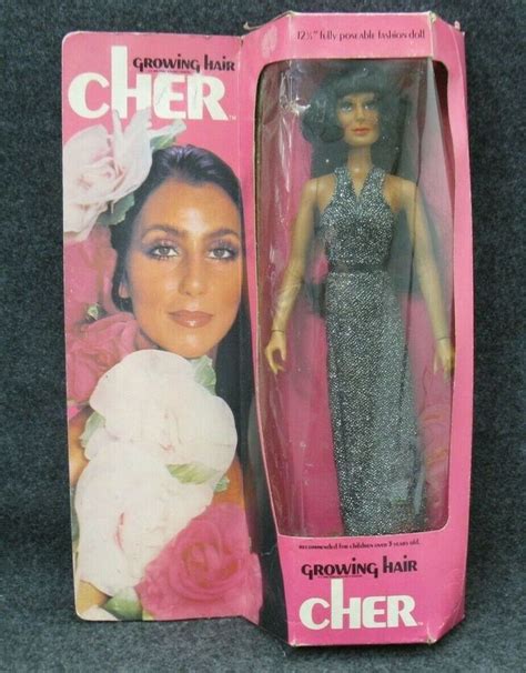Cher Growing Hair Doll Toy Figure By Mego Outfit Box Vintage