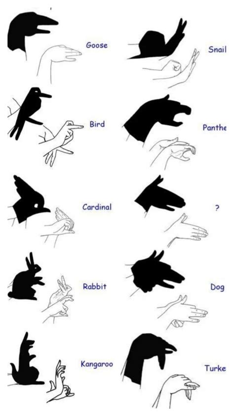 Guide For Hand Shadows Rcoolguides