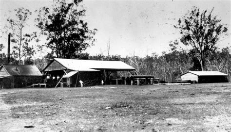 Cherbourg Memory Sawmill At Barambah Aboriginal Settlement C1918