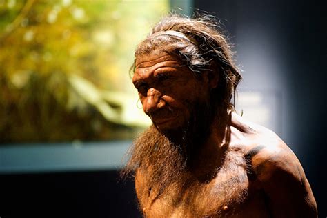 Improved Genetic Simulations Identify Human Genes Passed Down From Neanderthals Denisovans