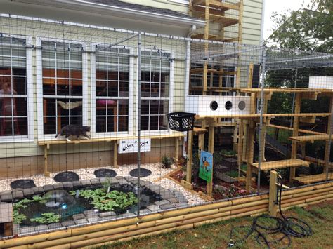 Pin on Purrfect Catios' Enclosures