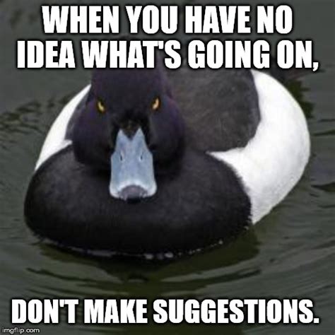 Angry Advice Mallard Imgflip