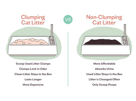 Clumping Vs Non Clumping Cat Litter Whats The Difference Tuft Paw