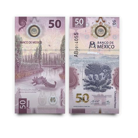 El Emblemático Ajolote De Xochimilco Es La Imagen Del Nuevo Billete De 50 Pesos Estos Son Sus