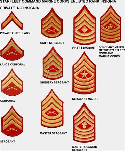 Marine Rank Corps Enlisted Insignia Marines Military