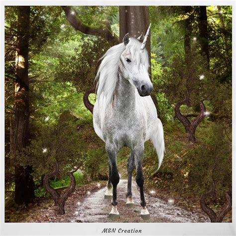 8 Unicorn Overlay White Horse Overlays Unicorns Transparent Etsy