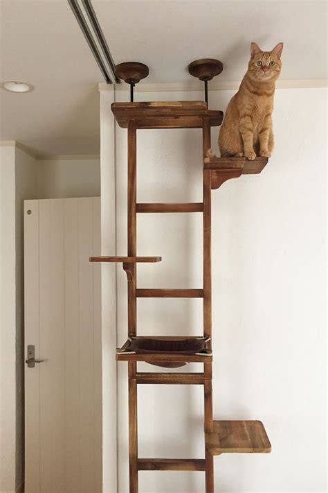 ぼくわちくわ Diy Cat Tree Cat Diy Cat Tree