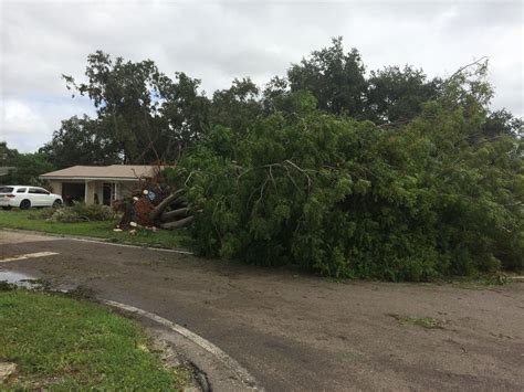 Hurricane Irma Aftermath In Tampa Bay Latest On Power Outages Debris