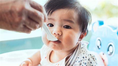 Introducing your baby to solid foods, sometimes called complementary feeding or weaning, should start when your baby is around 6 months old. When Do Babies Start Eating Solid Food? | Mom.com
