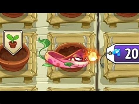 Chocolate is an item obtained in plants vs. Plants vs. Zombies 2: Pyrevine in the Zen Garden - YouTube