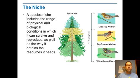 Habitats Niches And Species Interactions Youtube
